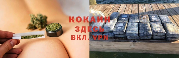 кокс Алзамай